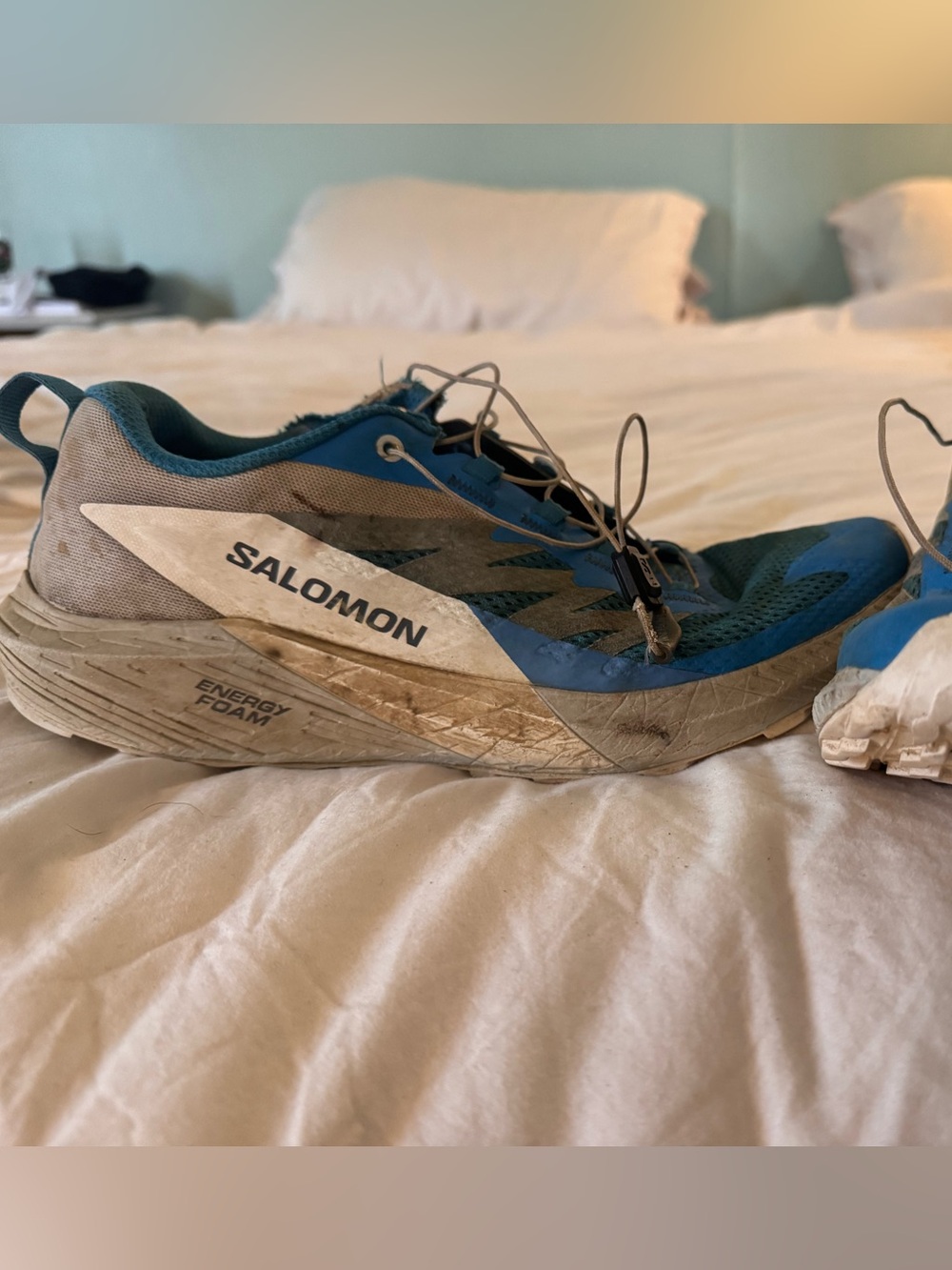 Salomon sense ride 5